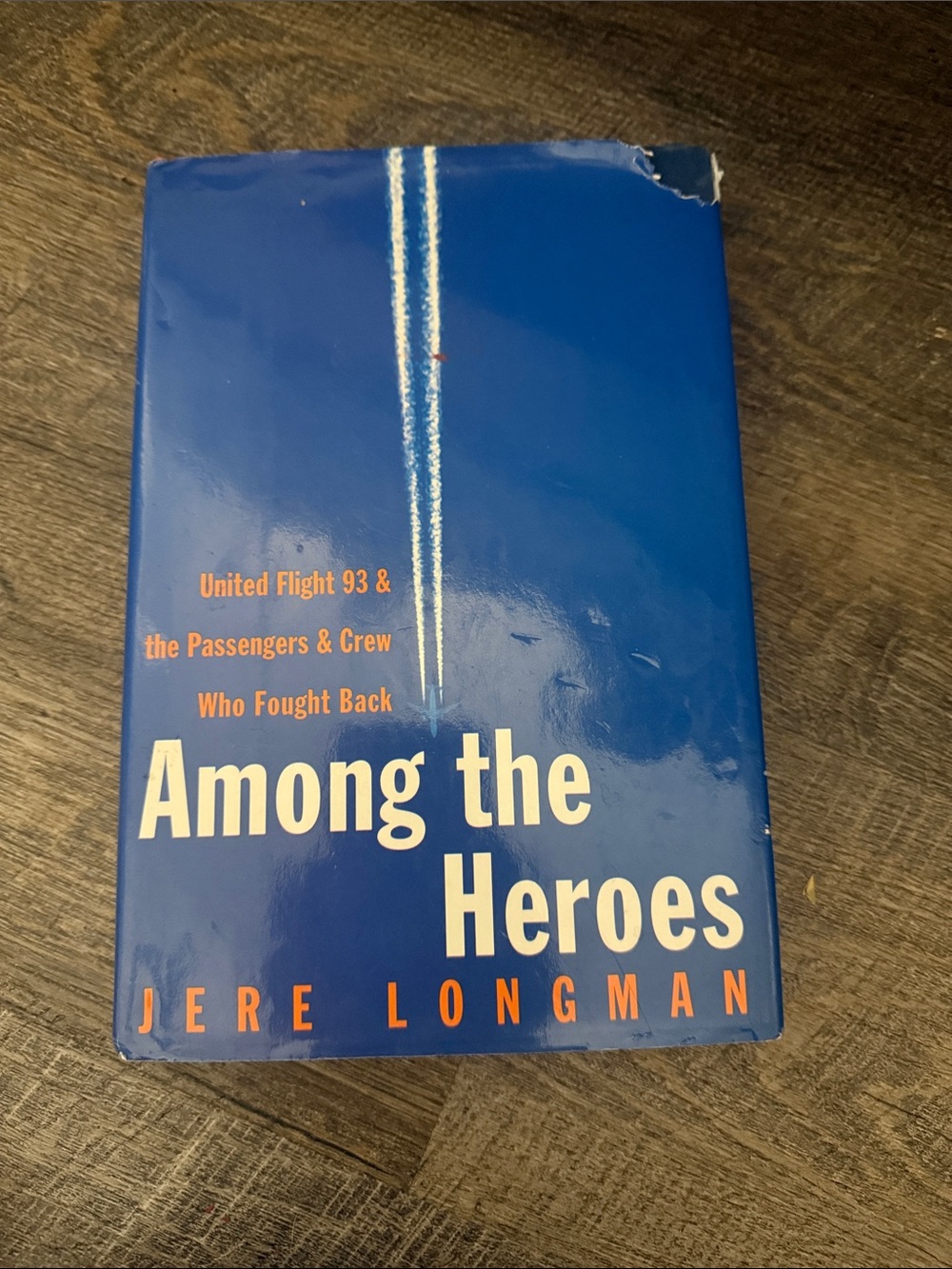 Among the Heroes by - Blue Hardcover